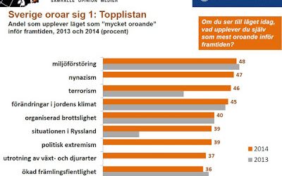 Detta är svenskarna rädda för