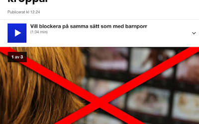 Det största hotet mot den fria sexualiteten är feministerna