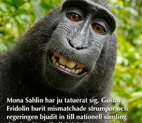 Förlåt dem, ty de vet icke vad de gör