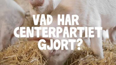 Centern – partiet som inte tar ansvar