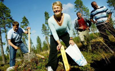 Om en politisk dokusåpa